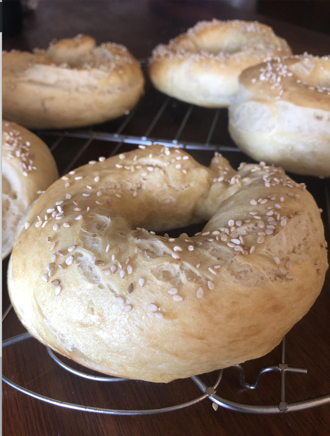 kosher homemade bagels with sesame seeds