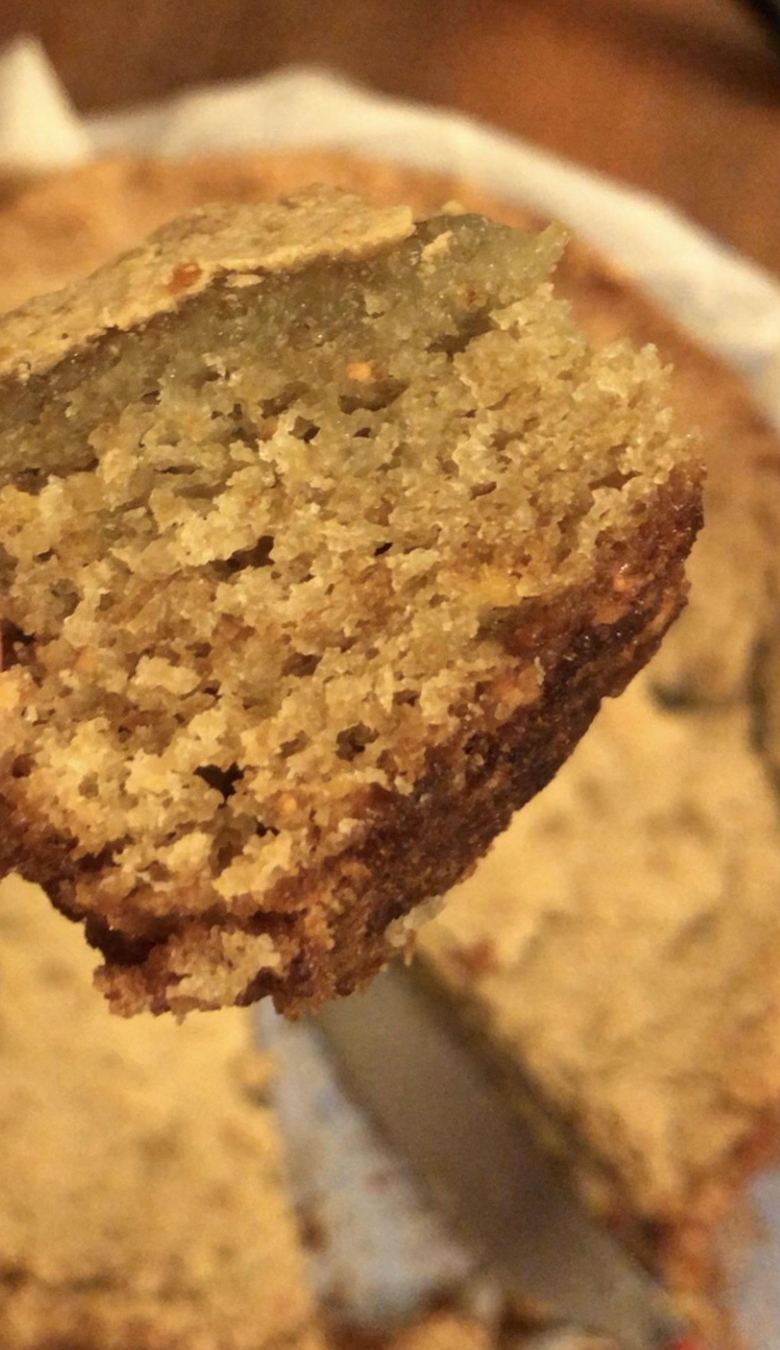 Slice of Fig Cake by the Rebbetzin Unplugged
